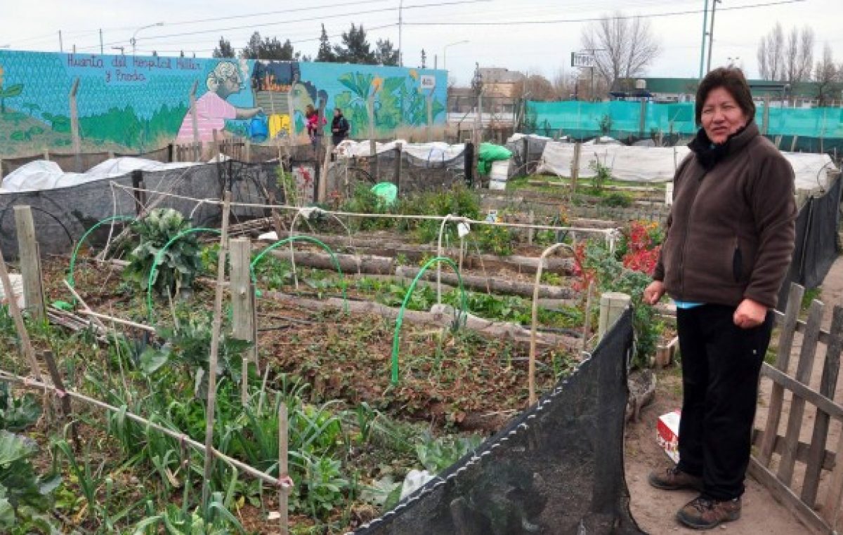 Las huertas familiares mueven la economía de 8.000 neuquinos