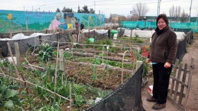 Las huertas familiares mueven la economía de 8.000 neuquinos