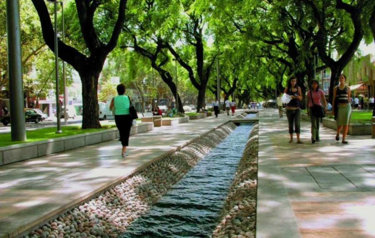 Acequias a la vista, por los árboles y fisonomía de Mendoza