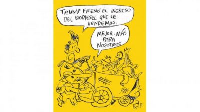 Rodillas