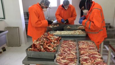 La Planta Municipal de Ushuaia trabaja procesando centolla, mejillones y cholgas