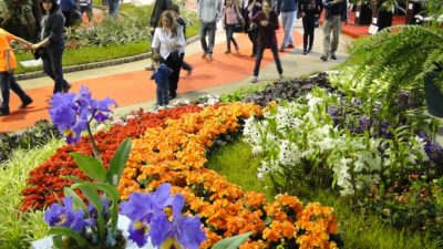 Polémica y enojo: La Fiesta de la Flor de Escobar no será apoyada por el gobierno nacional