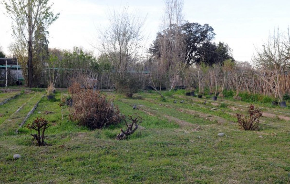 Al final, Las Heras le compró a Capital el «molesto» terreno del vivero municipal