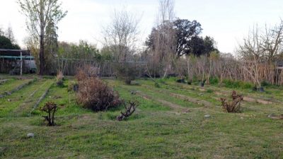 Al final, Las Heras le compró a Capital el «molesto» terreno del vivero municipal