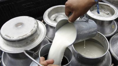 Cayó 12 por ciento la producción láctea en dos años