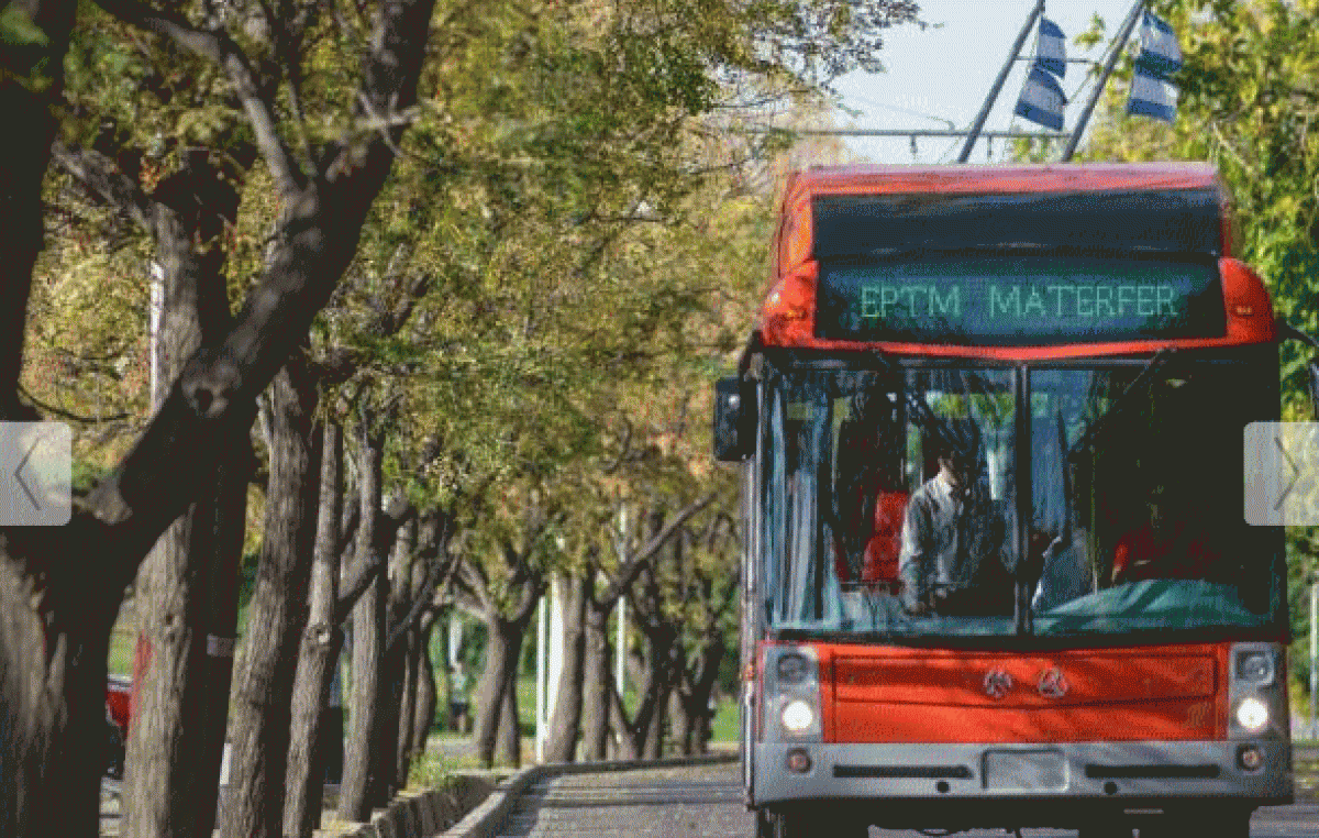 Casi un año sin troles en Mendoza: recién en marzo volverían a andar