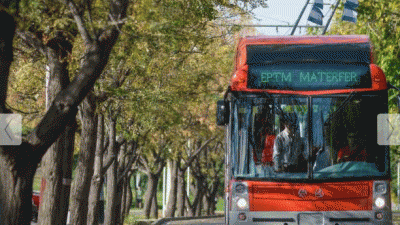 Casi un año sin troles en Mendoza: recién en marzo volverían a andar