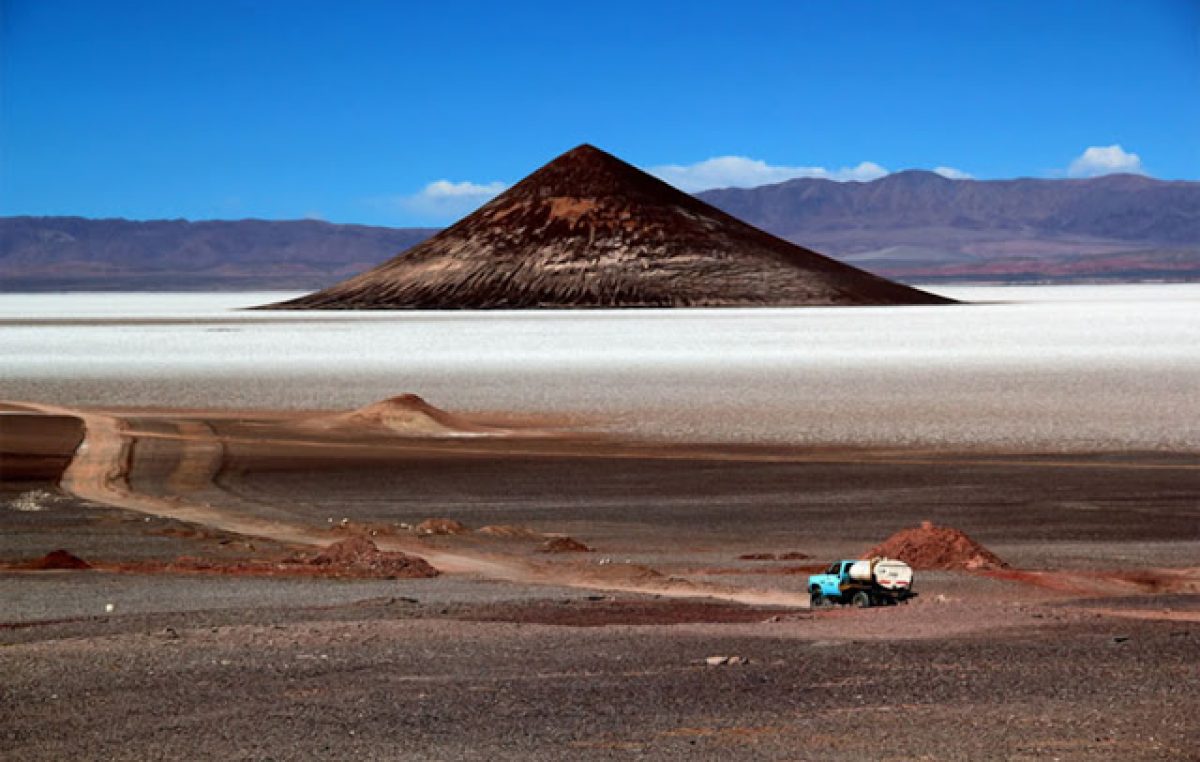 Destino: Tolar Grande: viaje hacia un universo de misterio y color 