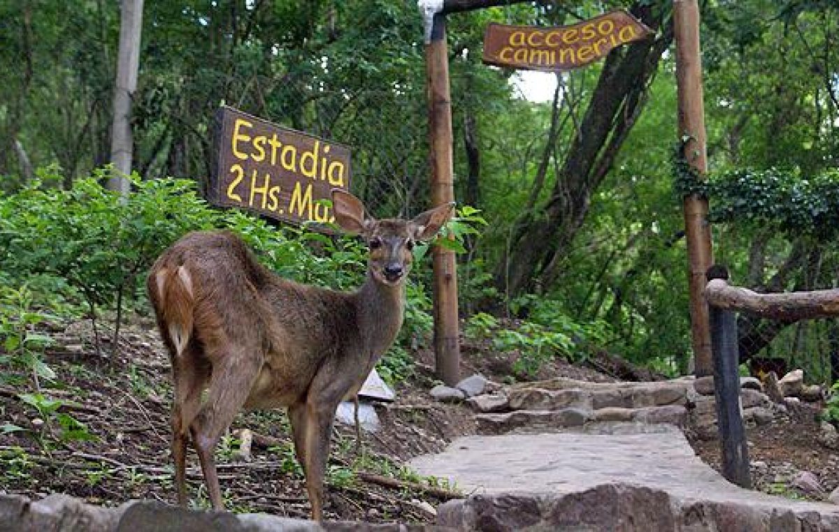 Reinauguraron el Parque Botánico Municipal de Jujuy