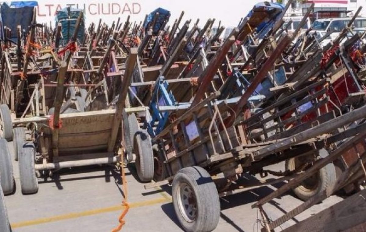 De los más de 200 caballos carreros que hay en Salta hasta ahora solo se entregaron 19
