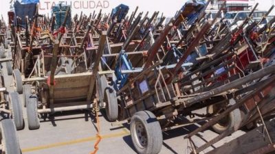 De los más de 200 caballos carreros que hay en Salta hasta ahora solo se entregaron 19
