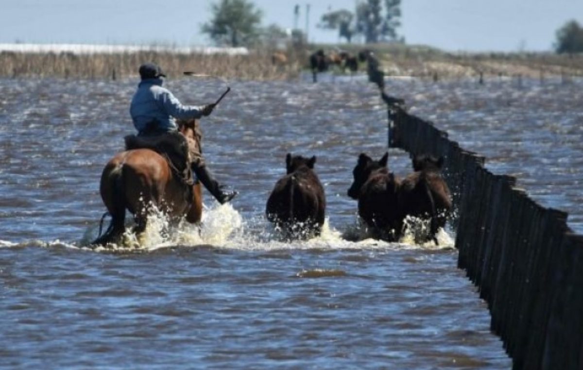 Calculan que las lluvias ya afectaron a más de seis millones de hectáreas en Buenos Aires