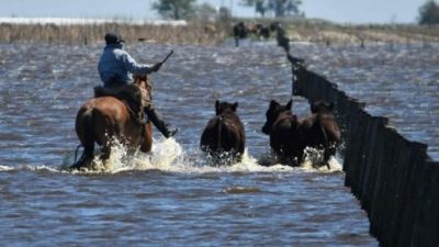 Calculan que las lluvias ya afectaron a más de seis millones de hectáreas en Buenos Aires
