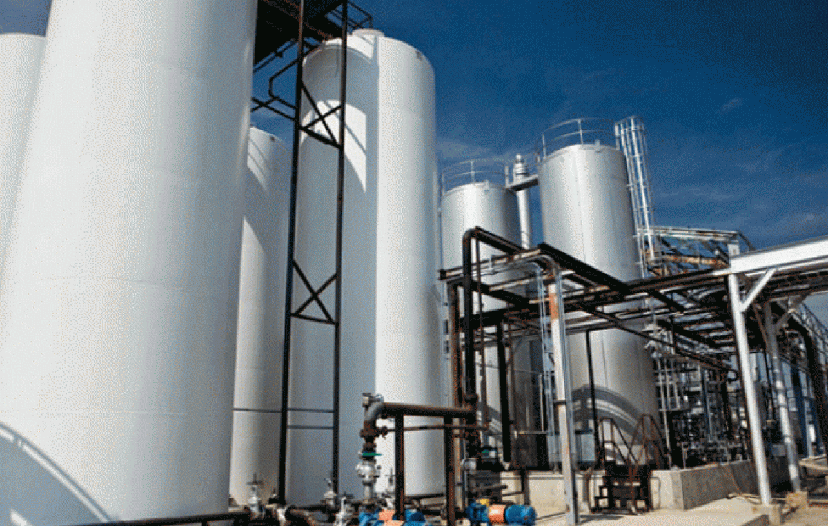 Panorama incierto: Con la mirada en Europa, el biodiesel argentino camina por la cornisa