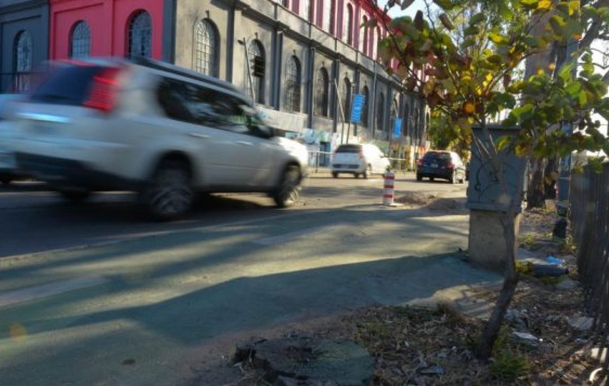 Caracterizarán y censarán a los árboles en gran parte de Córdoba