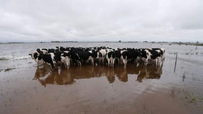Santa Fe: Más cruces por el fondo de asistencia a los tamberos inundados
