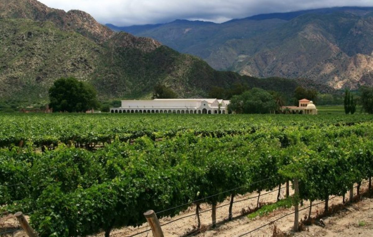 Cafayate: vino, naturaleza y placer