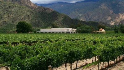 Cafayate: vino, naturaleza y placer