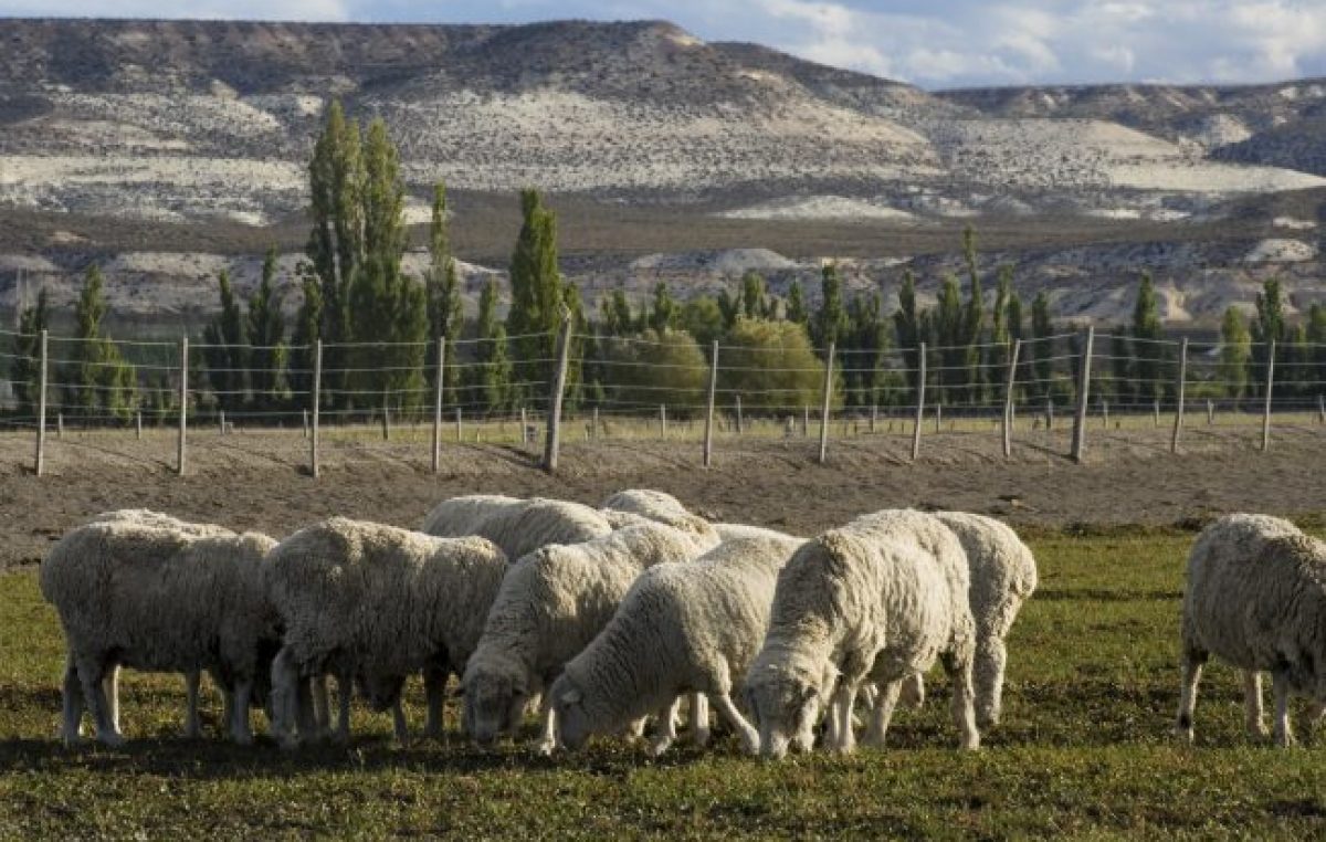 Trelew, millones de años por descubrir
