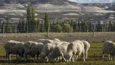 Trelew, millones de años por descubrir