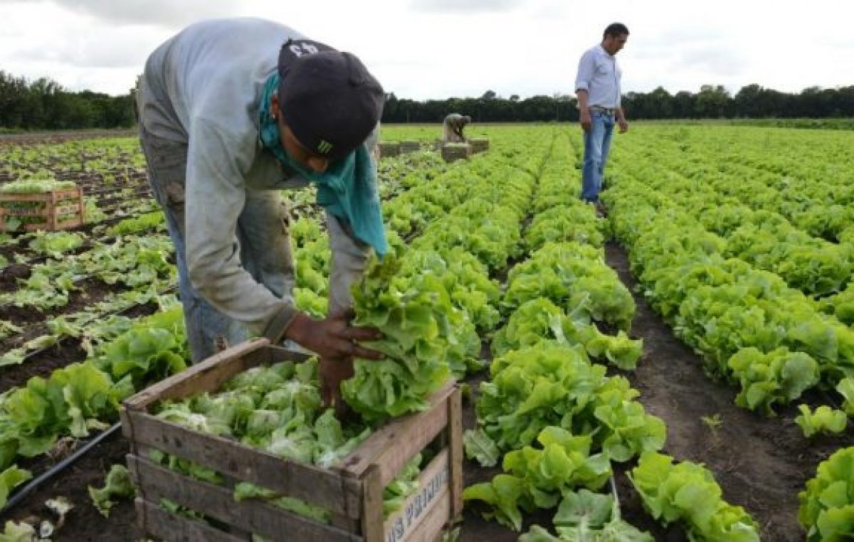 Alertan sobre la desaparición de pequeños y medianos productores