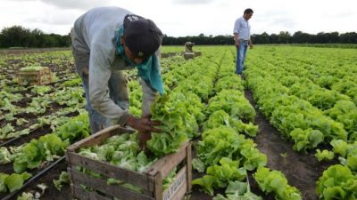 Alertan sobre la desaparición de pequeños y medianos productores