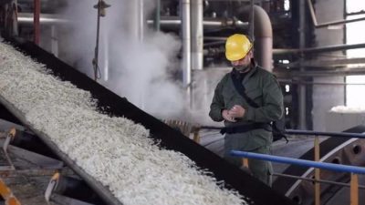 Peligran 250 mil empleos por la reforma tributaria