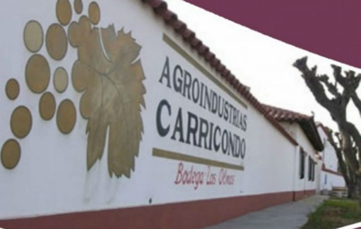 Junín avanza en la adquisición de la bodega Carricondo
