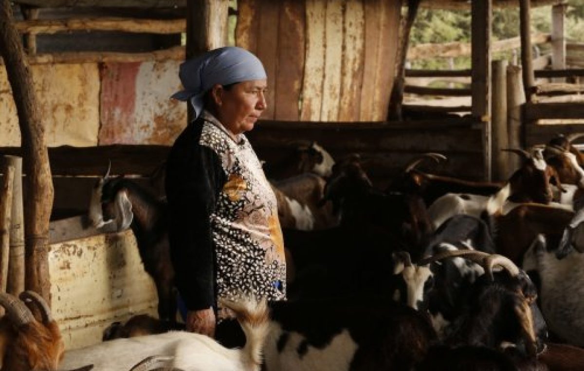 La alternativa: turismo rural comunitario en Salta