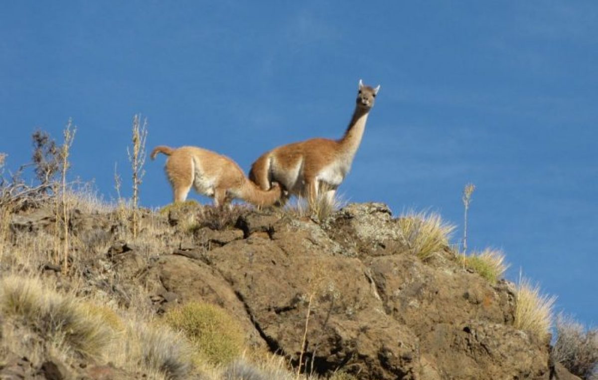 Una aventura en el valle de Collon Cura