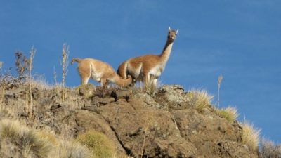 Una aventura en el valle de Collon Cura