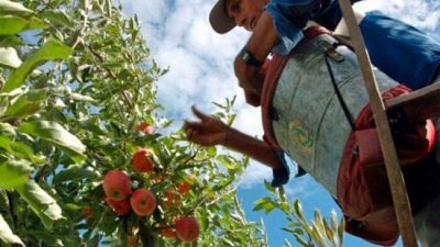 Río Negro: “Teníamos razón, Etchevehere aniquilará las pymes rurales”