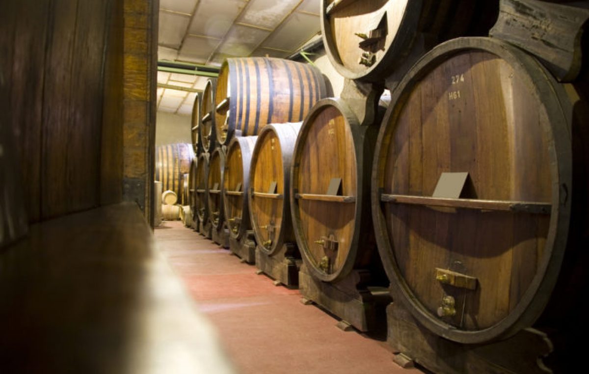 Afirmaron que el trabajo de 40.000 sanjuaninos sería perjudicado por el impuesto al vino