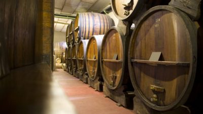 Afirmaron que el trabajo de 40.000 sanjuaninos sería perjudicado por el impuesto al vino