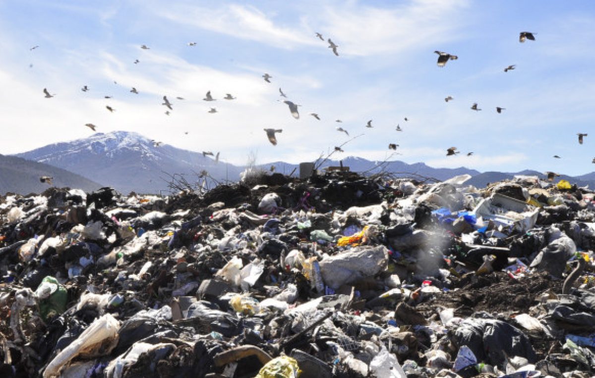 San Martín de los Andes no sabe qué hacer con la basura