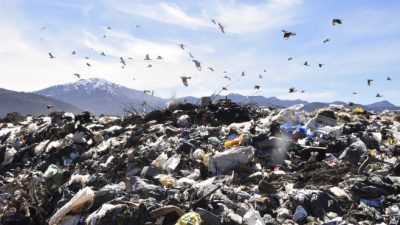 San Martín de los Andes no sabe qué hacer con la basura