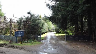 La Angostura: avanzan sobre tierras públicas