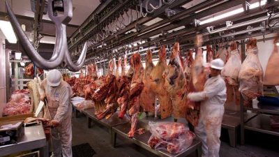 Grave situación: denuncian presiones contra cooperativas y frigoríficos cárnicos