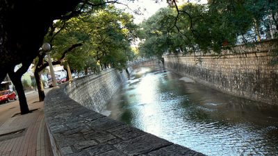 Singular proyecto para que crezca el parque de árboles en la ciudad de Córdoba