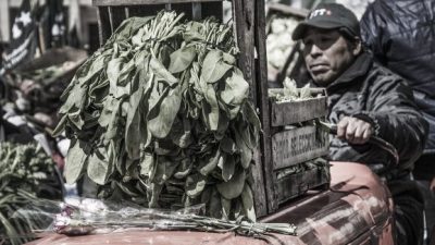 Pequeños productores repartieron 20 mil kilos de verduras a jubilados