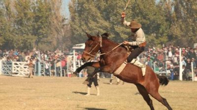 Guaymallén prohibió las domas y jineteadas y sancionará las carreras de galgos
