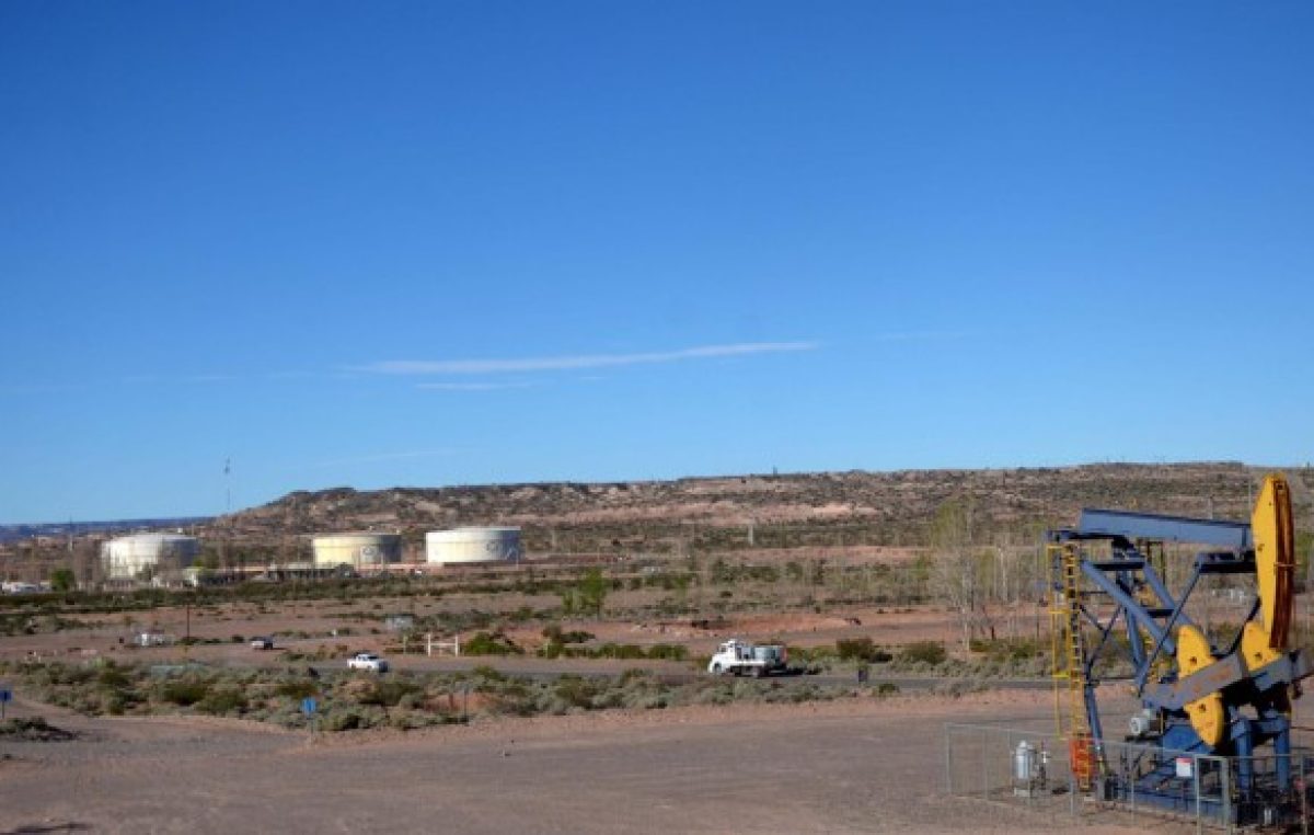 Rincón de los Sauces espera salir a flote con Vaca Muerta