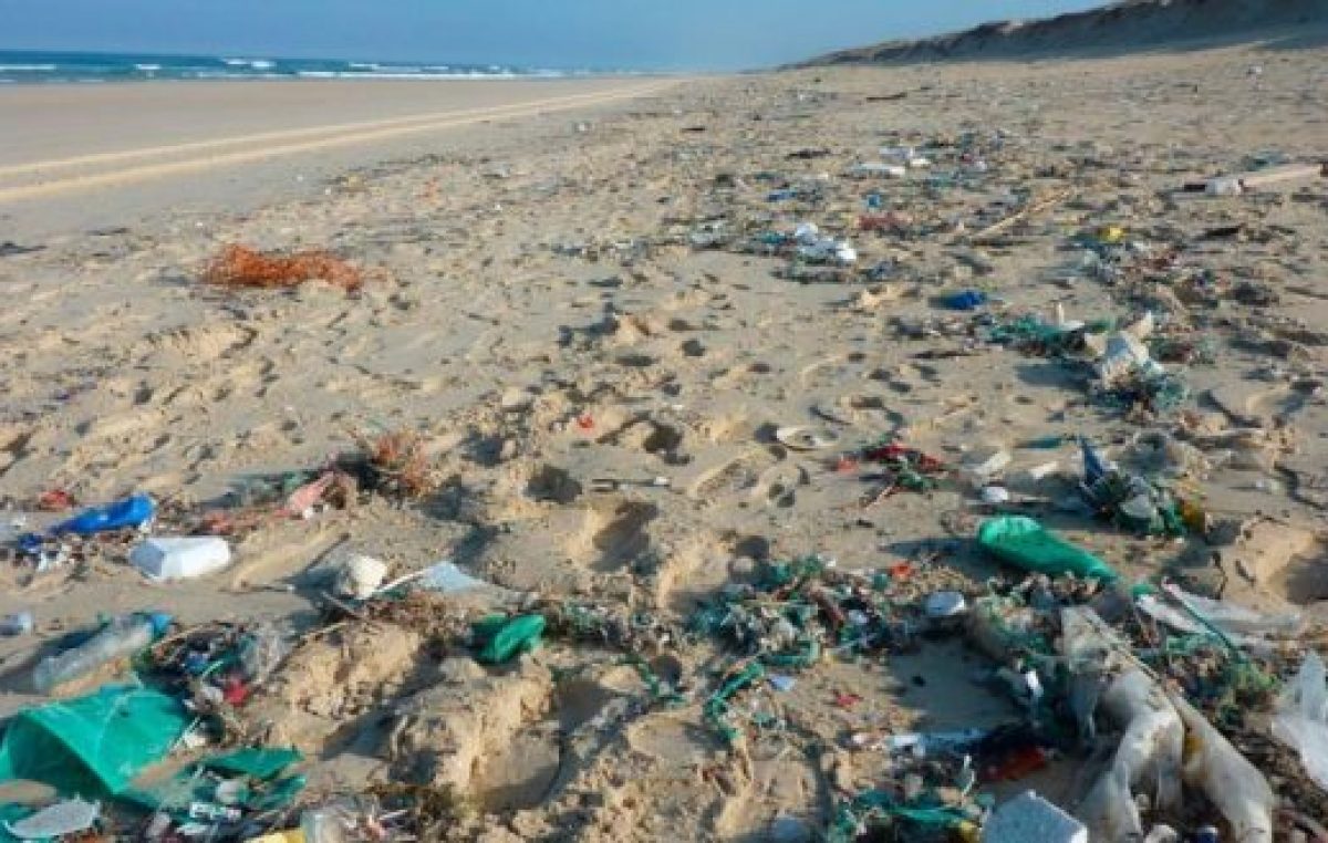 Según un estudio, arrojan hasta 8 toneladas de residuos plásticos en las playas de Villa Gesell