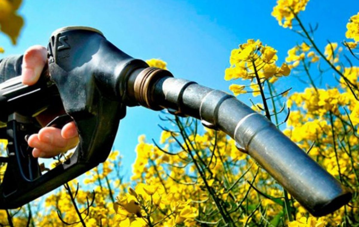 EE.UU. confirmó su arancel para el Biodiésel y Argentina se despide de ese enorme mercado
