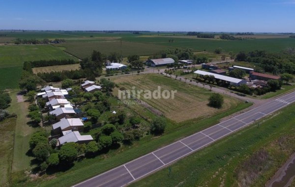 Tamborini: La resistencia de un paraje con 20 habitantes
