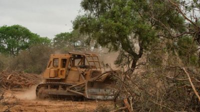 La guerra de los permisos para las topadoras