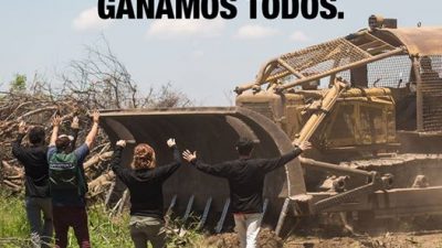 Salta: frenan el salvaje desmonte y tala de Urtubey y el primo de Marcos Peña