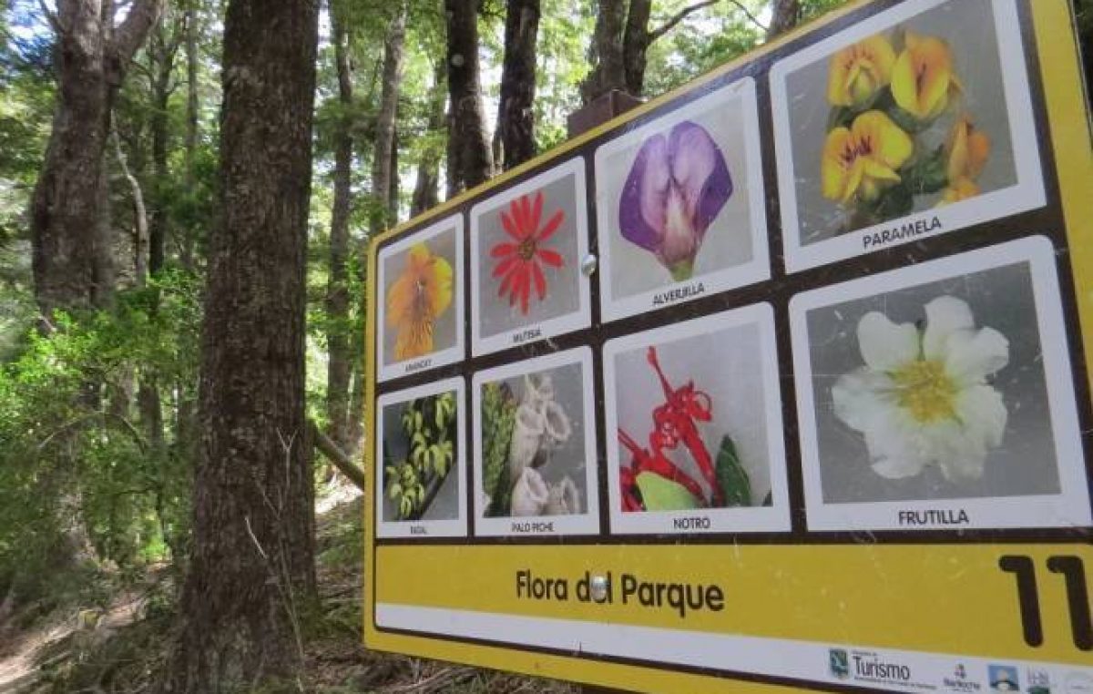 Están paralizadas las obras del parque municipal Llao Llao
