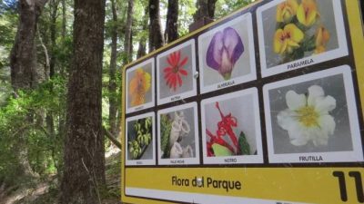 Están paralizadas las obras del parque municipal Llao Llao