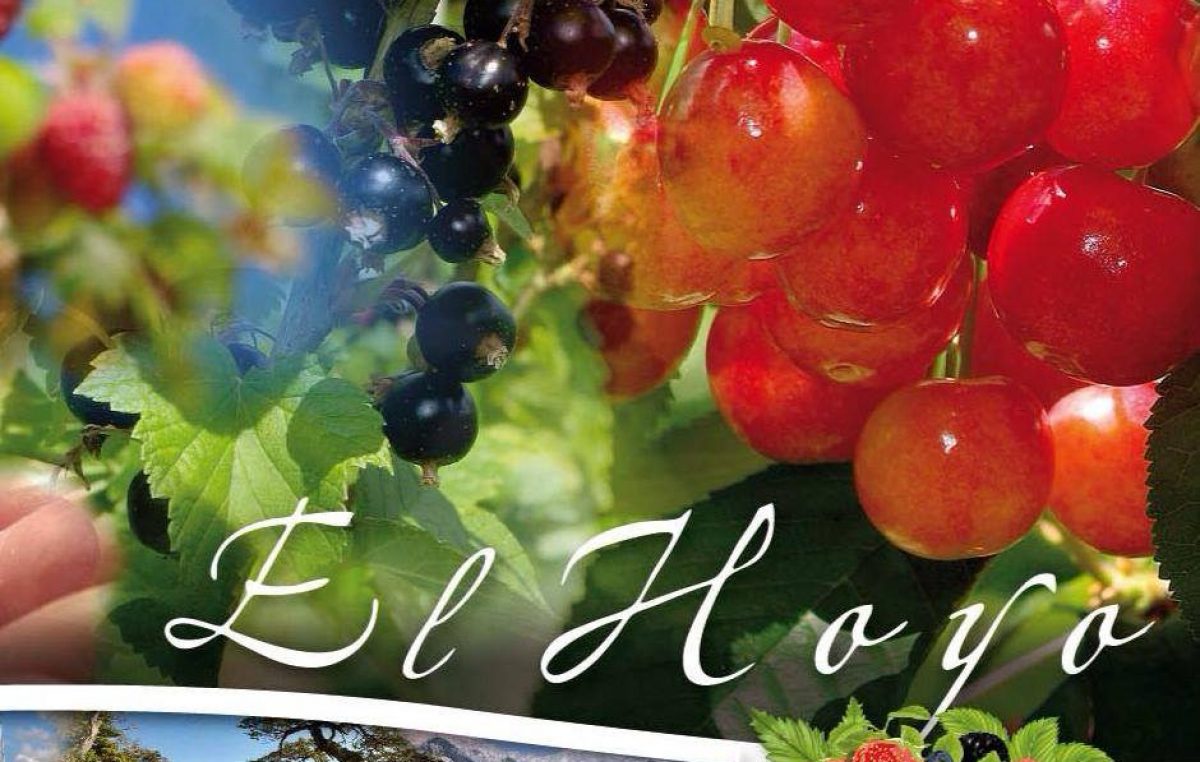 Fiesta Nacional de la Fruta Fina,12, 13 y 14 de Enero, El Hoyo